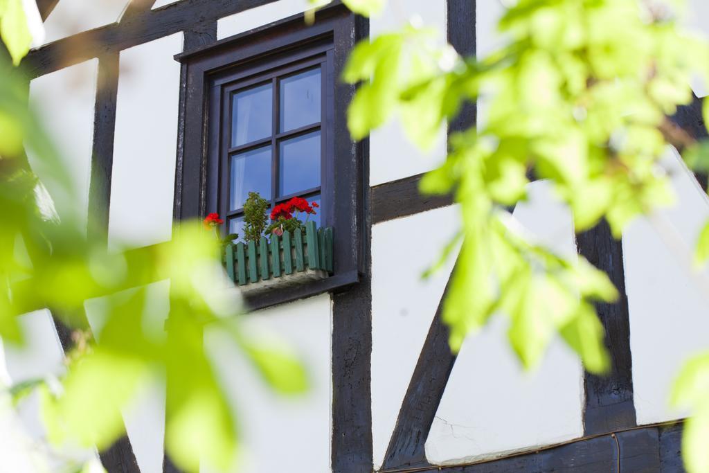 Romantik Hotel Alte Vogtei 哈姆 外观 照片